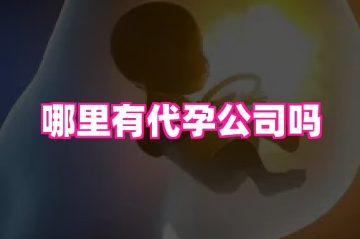 61助孕网 2