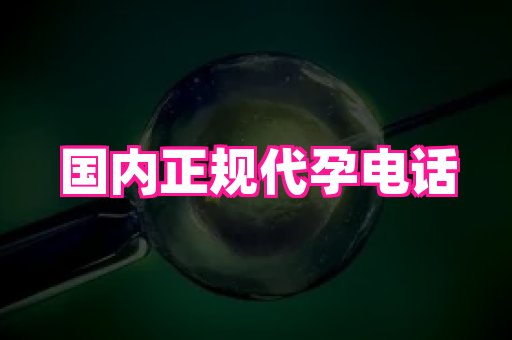 61助孕网 3